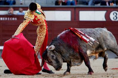 El Refugio recoge 60.000 firmas contra las corridas de toros en  Madrid.