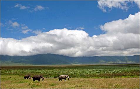 Zona de conservación de Ngorongoro. Tanzania.
          UNESCO/Andrew Schoeman