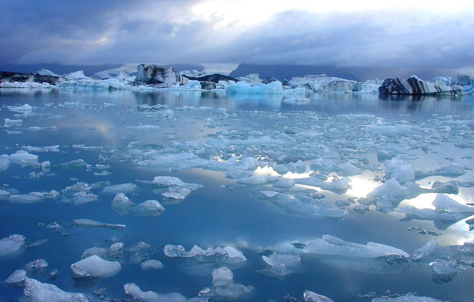 Ártico (2010)