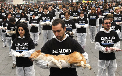 Los activistas en la Puerta del Sol, esta mañana.-EFE/Kote Rodrigo