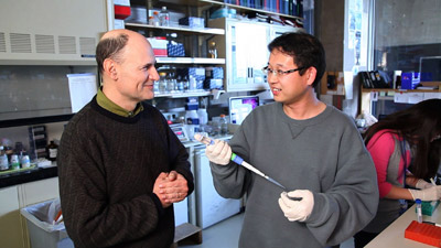 Los investigadores Juan Carlos Izpisúa y Guang-Hui Liu, primer y último autor del trabajo de Nature'.