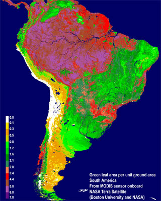 Imagen de satélite que muestra los niveles de sequía en el Amazonas. - NASA