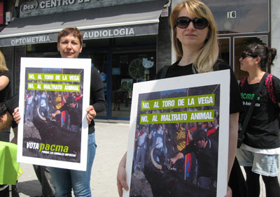 Militantes del Pacma hacen campaña contra el Toro de la Vega en Tordesillas. FOTO: HENRIQUE MARIÑO