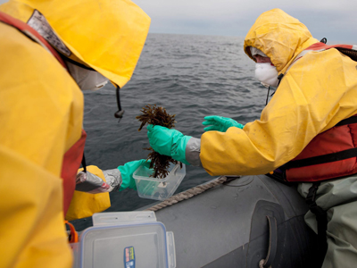 Activistas de la organización ecologista recogen muestras marinas.GREENPEACE