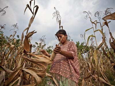 Una campesina cultiva maíz en la comunidad de Caxlampom, en Guatemala. intermón oxfam (pablo tosco)