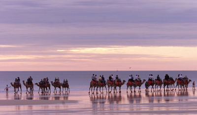 Un grupo de turistas disfruta a lomos de los dromedarios en una playa de la costa occidental australiana. -