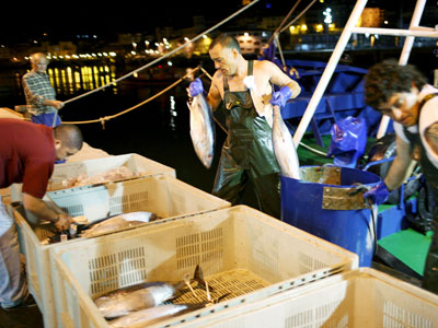 Un grupo de pescadores descarga bonito del norte en el puerto de Bermeo, cerca de Bilbao. Bloomberg News