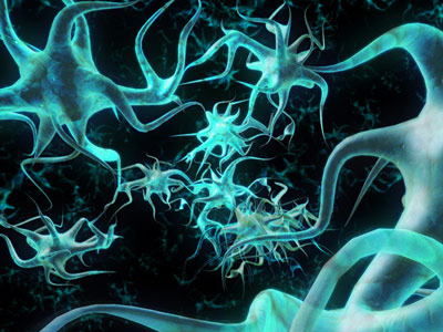 Las sinapsis son las conexiones neuronales.