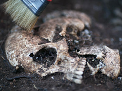 Uno de los cráneos humanos que se han encontrado en el cementerio municipal de Teba - EFE