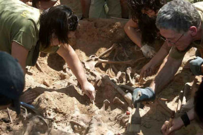 Trabajos de exhumación en las fosas de Villalba de Duero.