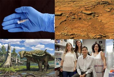Muestra del ADN humano más antiguo, la superficie de Marte examinada por el Curiosity, ilustración del dinosaurio hallado en Teruel y el equipo del CNIO que consiguió células madre embrionarias.