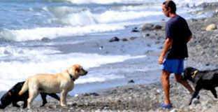 El PSOE denunciará a Aznar por pasear en Marbella con sus perros sueltos y sin bozal