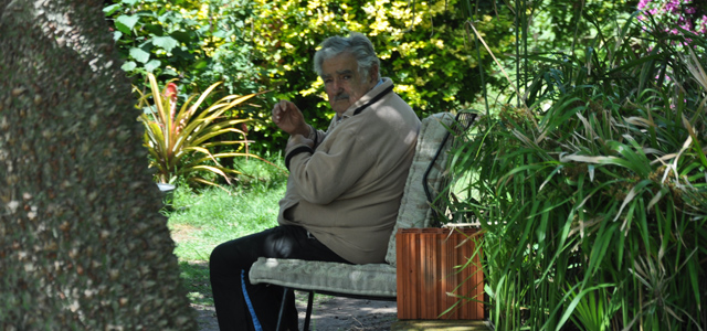 José Mujica en el jardín frente a su vivienda. MATÍAS BALL