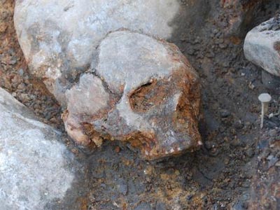 Cráneo de mujer del yacimiento de Kanaljorden en Motala (Suecia), excavado entre 2009 y 2013.