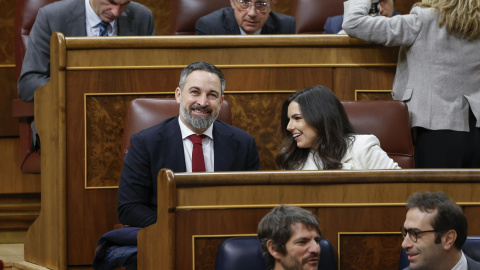 El líder de Vox, Santiago Abascal y la portavoz de la formación de ultraderecha, Pepa Millán, durante la sesión de control al Gobierno en el Congreso.