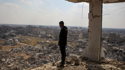 Un palestino observa desde un edificio la destrucción de la Franja de Gaza.