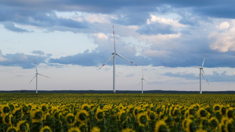 Un parque eólico junto a un campo de girasoles en las afueras de Ulyanovsk, Rusia. REUTERS/Maxim Shemetov