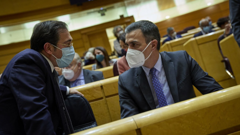 El ministro de Asuntos Exteriores, José Manuel Albares (i) y el presidente del Gobierno, Pedro Sánchez (d), durante una sesión de control al Gobierno en el Senado. E.P./Jesús Hellín