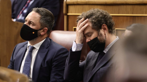 El presidente de Vox, Santiago Abascal, y el portavoz parlamentario de Vox, Iván Espinosa de los Monteros, en el Congreso de los Diputados.- EUROPA PRESS