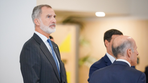  El Rey Felipe VI a su llegada a la inauguración de la Conferencia Internacional de Naciones Unidas sobre víctimas del terrorismo, en el Palacio de Congresos de Europa. Iñaki Berasaluce / Europa Press