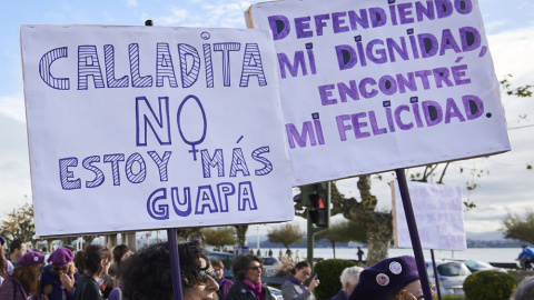 Pancartas de la manifestación del 25N en Santander.. EUROPA PRESS/C. Ortiz