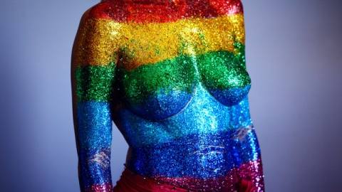 Torso brillante multicolor. Foto: Sharon McCutcheon.