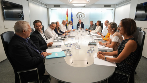 El presidente del PP, Alberto Núñez Feijóo (c), durante una reunión del comité de dirección del partido. EFE/Tarek