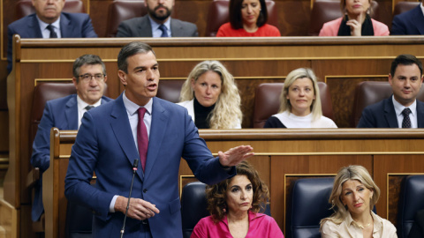 El presidente del Gobierno, Pedro Sánchez, en el Congreso. / J.P. Gandul (EFE)