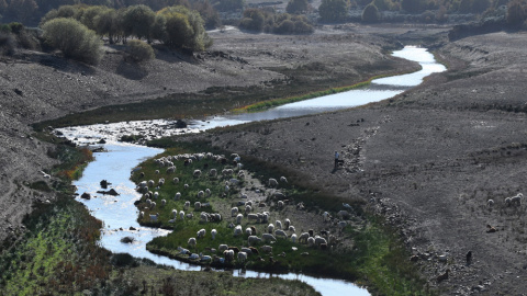 El 50% de las masas de agua en España están en mal estado. AFP