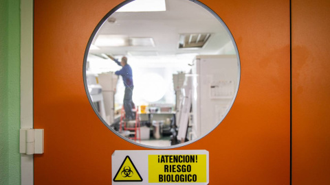 Puertas de una sala donde se experimenta con patógenos que conllevan riesgo biológico en el CNB. En este laboratorio se avanza en el desarrollo de una vacuna contra el SARS-Cov-2. / SINC