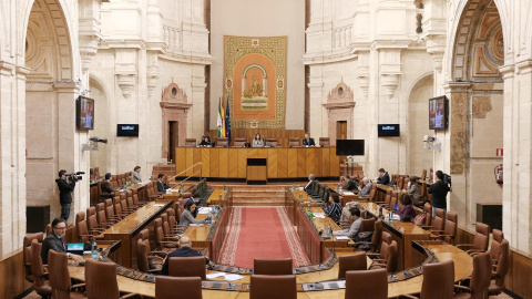 Pleno de la Diputación Permanente del Parlamento de Andalucía. Europa Press