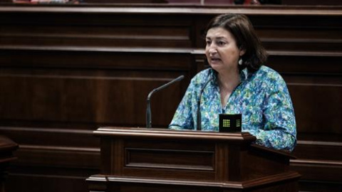 María José Guerra, exconsejera de Educación del Gobierno de Canarias. Pepe Torres/Europa Press