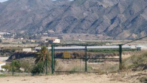 Una plantación de cannabis para eliminar la contaminación nuclear de Palomares