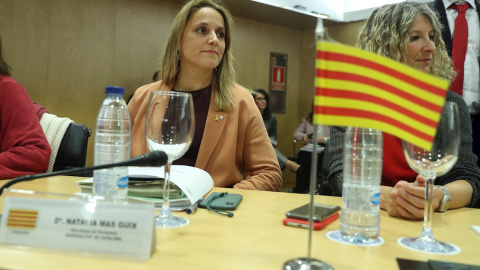 La secretaria de Economía de la Generalitat, Natàlia Mas (c), al inicio de la reunión del Consejo de Política Fiscal y Financiera (CPFF), celebrada esta tarde en Madrid. EFE/ Kiko Huesca