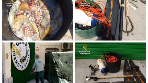 Detenido por saltarse el confinamiento para practicar pesca furtiva tras jactarse en las redes sociales. / EP - GUARDIA CIVIL