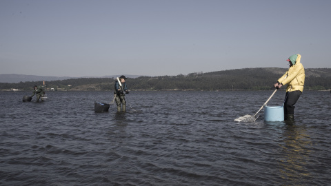 Unos pescadores faenan cerca de la orilla.  ALBA CAMBEIRO