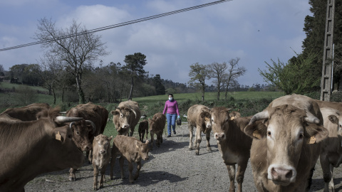 Matilde trabaja con una explotación ternera. ALBA CAMBEIRO