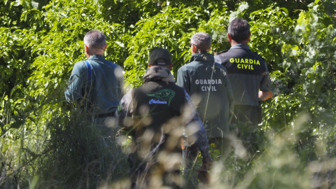 Agentes del Seprona buscan cocodrilo en el Pisuerga. / EUROPA PRESS