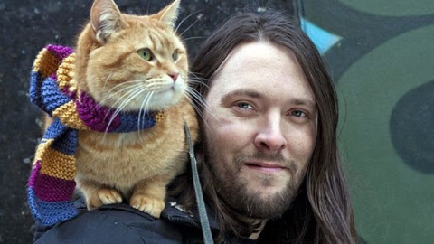 El gato Bob junto a su dueño, James Bowen.