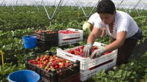 Sombras y silencio sobre la situación de las mujeres trabajadoras de la fresa en Huelva