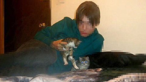 A los gatos, ni tocarlos: un asesino en internet