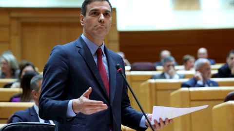 El presidente del Gobierno, Pedro Sánchez. EFE/Kiko Huesca/Archivo