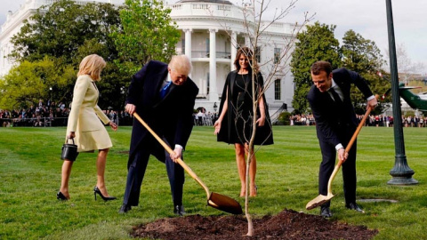 Trump y Macron plantan el roble que simbolizaba su amistad delante de la Casa Blanca en abril de 2018. (JOSHUA ROBERTS | REUTERS)