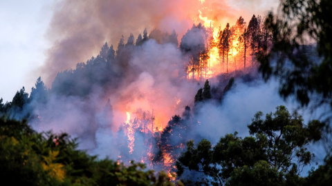 17/08/2019- Un dispositivo de emergencia trabaja en la extinción de un incendio en el municipio de Valleseco, el tercero importante que se ha declarado en la isla en los últimos ocho días  / EFE - Angel Medina