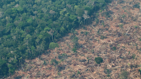 Vista de la Amazonía brasileña de Rondonia, en una fotografía de archivo. EFE/Joédson Alves