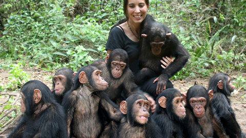 Rebeca Atencia con chimpancés bebés. / Fernando Turmo IJG