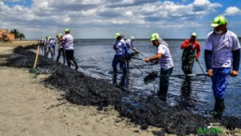 El Mar Menor, ante el riesgo de un nuevo brote (ambiental)