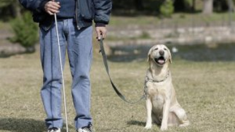 Acuerdan aumentar la protección de los animales en Euskadi con la regulación de los sacrificios y multas de hasta 100.000 euros