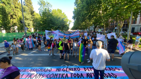 Manifestación de Orgullo Crítico 2021 en Madrid. – Público TV