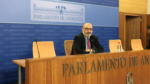 Alejandro Hernández, portavoz de Vox en el Parlamento de Andalucía. Europa Press